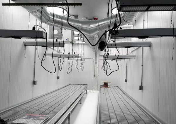 Seizing Opportunities in a Challenging Market: The Grownetics Approach to Hyper-Efficient Cultivation